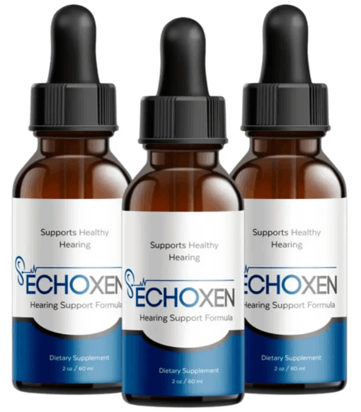 EchoXen